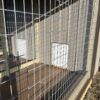 10x16 Double Kennel interior