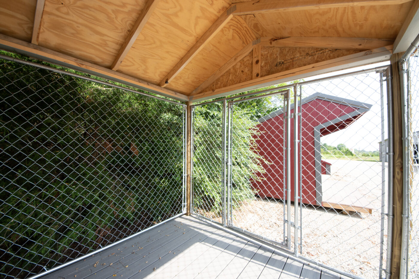 dog kennel shed ideas