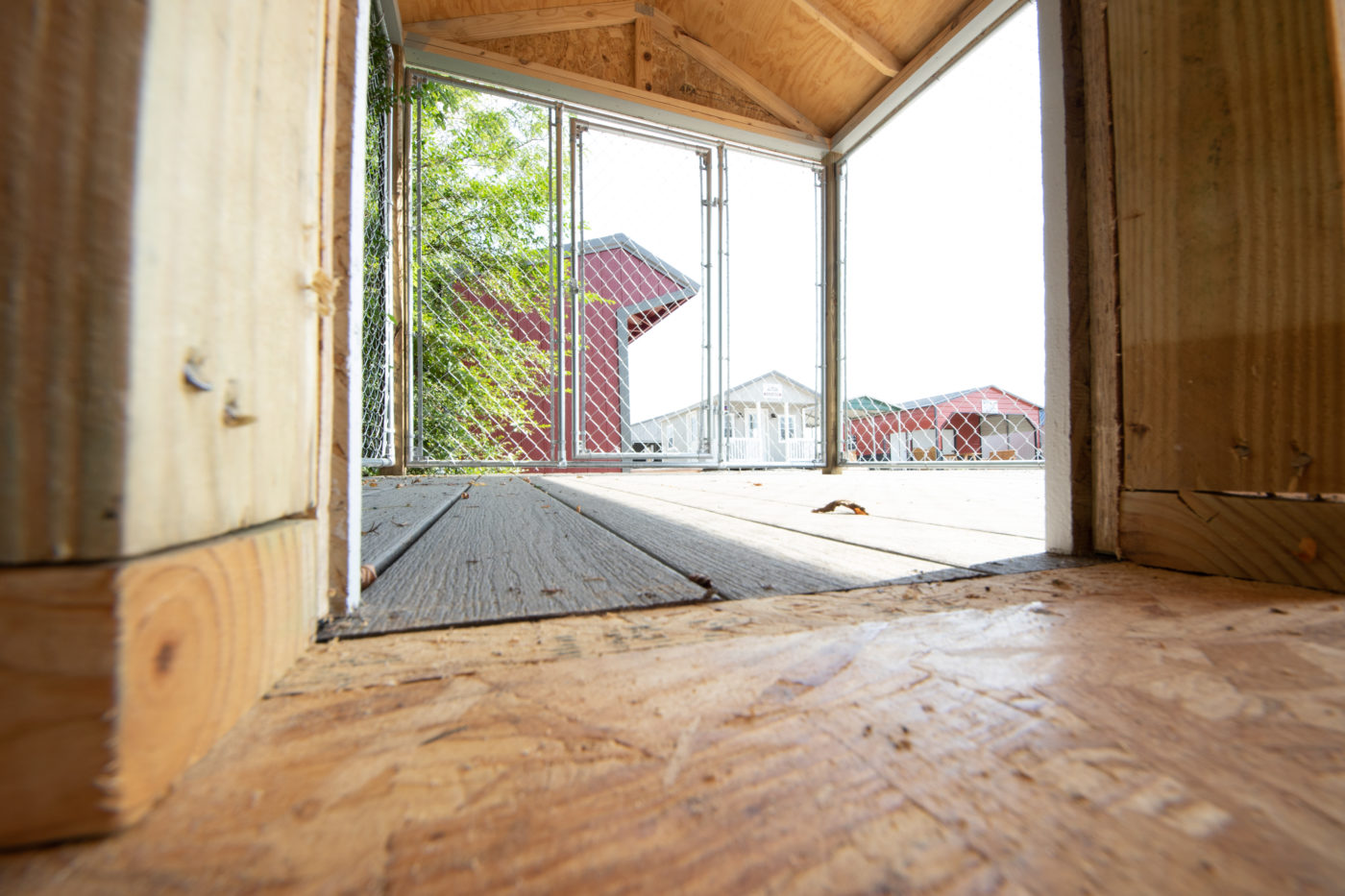 fenced in outdoor dog house