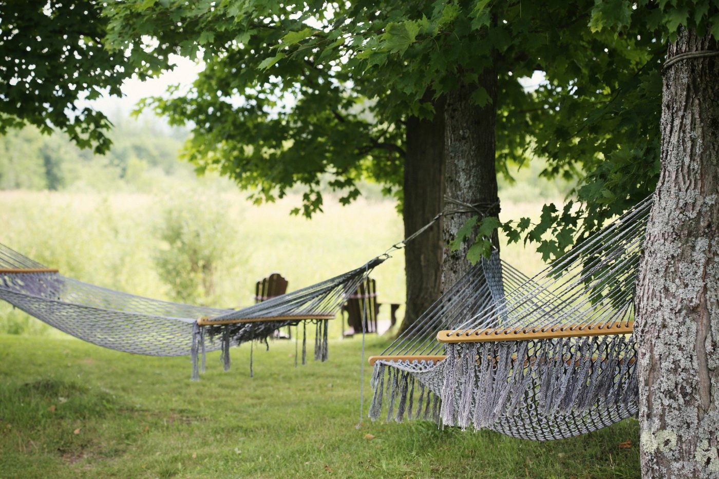 hammock outdoor entertainment