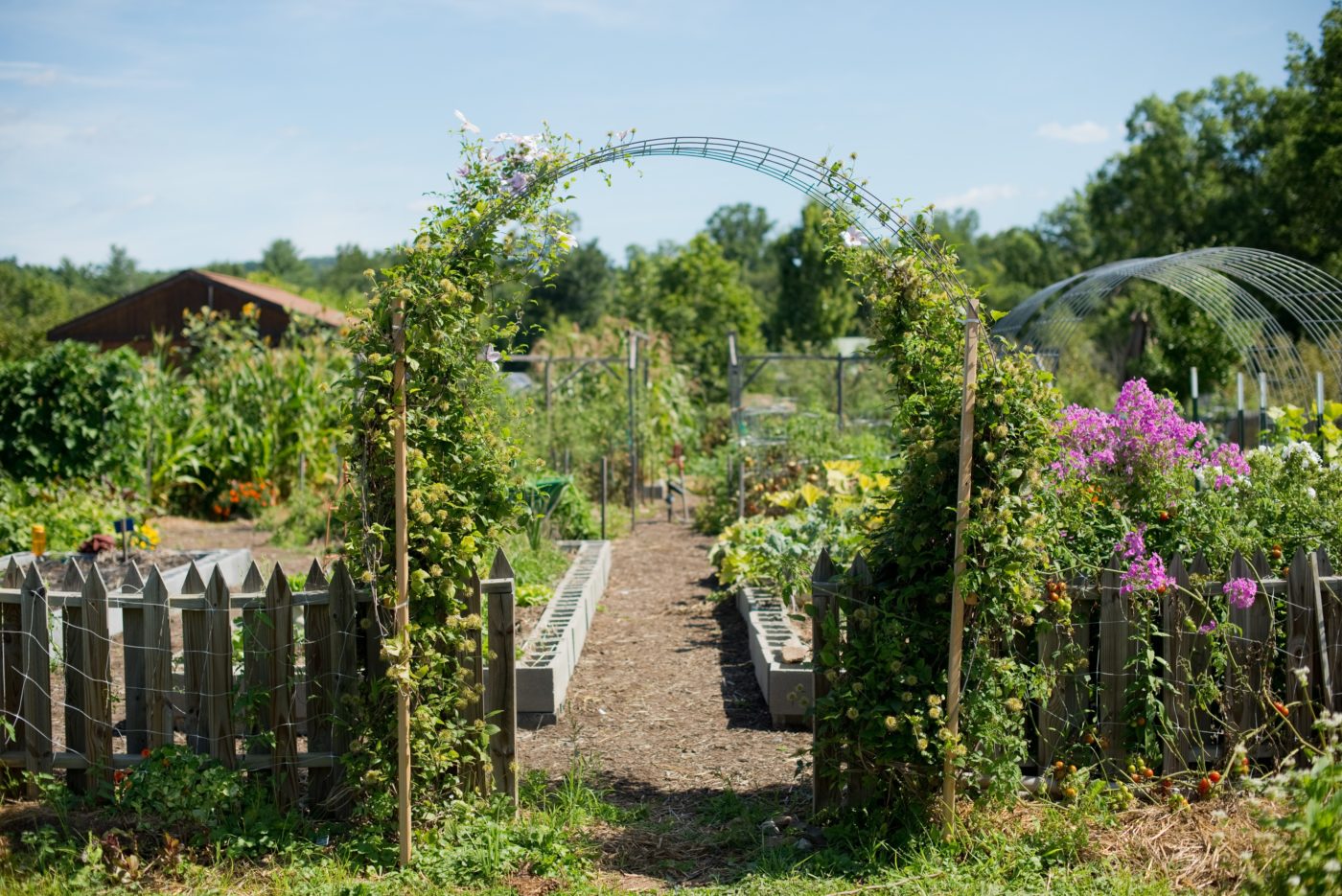 outdoor entertainment arbor