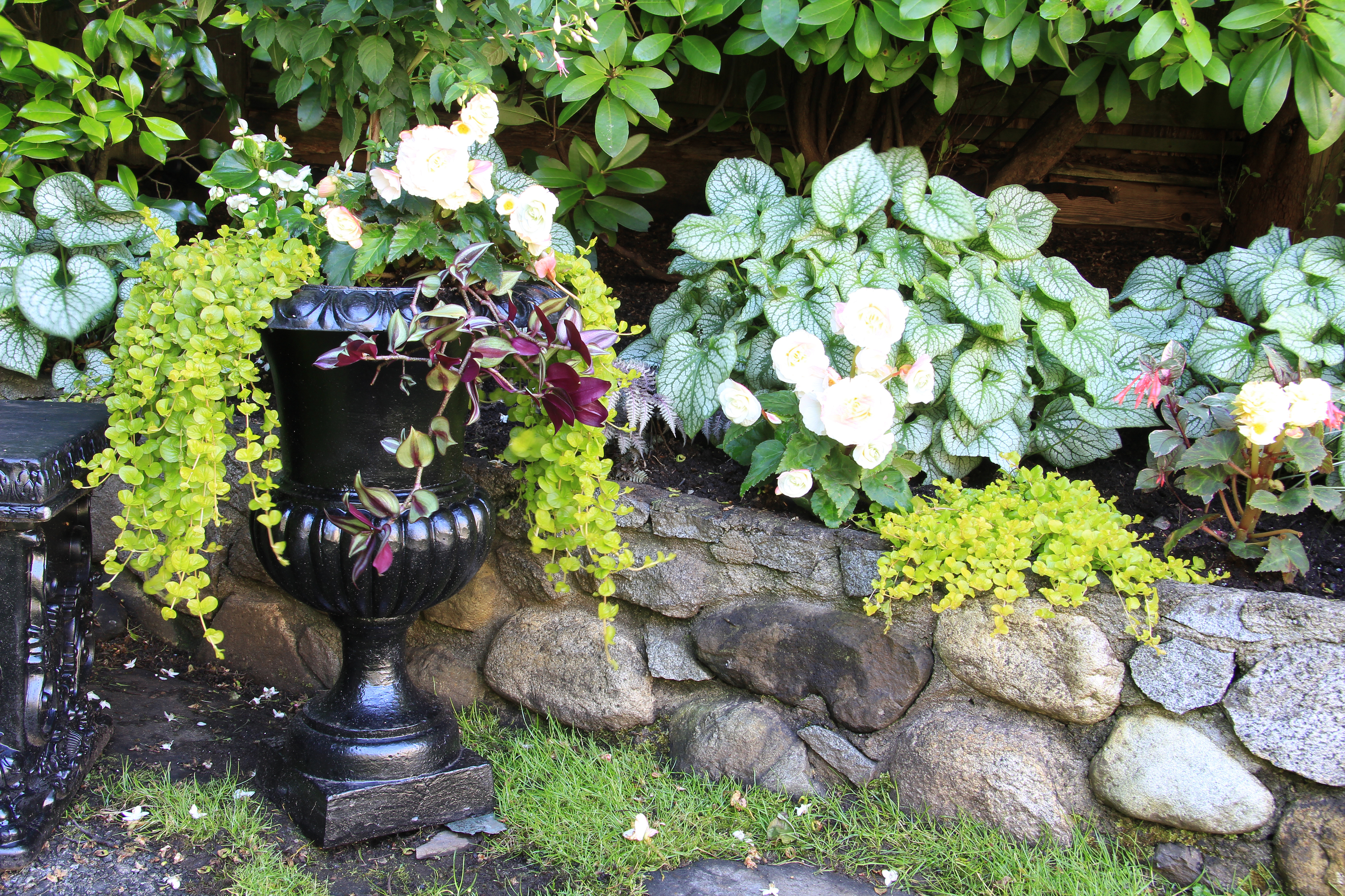 an urn filled with plants in Louisville KY