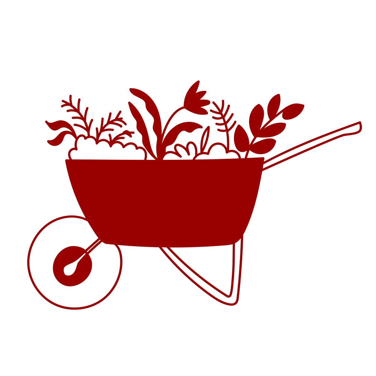 wheelbarrow with plants inside