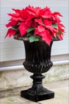 urn planters for flowers 2