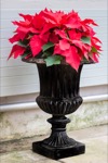 urn planters for flowers